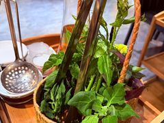 -一朵菌·野生菌探索家火锅(南亚店)