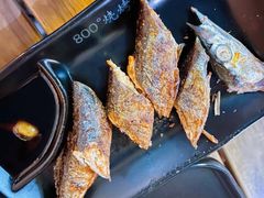 -800°烧烤小酒馆·露营·特色烧烤(天河公园店)