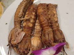 -四海之家(蛇口店)