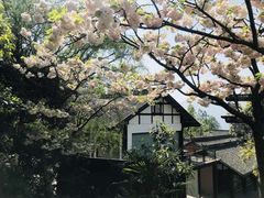 -窦圌山风景区