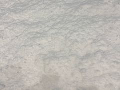 -哈尔滨热雪奇迹