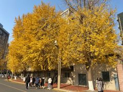 -四川大学(华西校区)