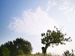 -北坞公园