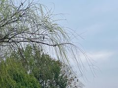 -浔味·山屿湖·正宗淳牌全鱼宴老字号