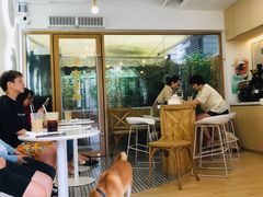-COMPANION COFFEE小伴咖啡