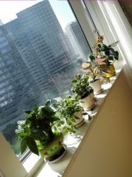 -久匠半永久纹眉