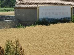 -龙爪山国家地质公园