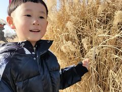 -汉长安城未央宫国家考古遗址公园