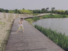 -东郊湿地公园
