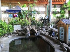 -河北霸州茗汤日月潭温泉