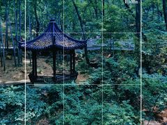 -宝岩生态观光园