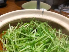 -十二舍·湯物素煮(江泰潤政店)