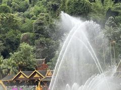 -西双版纳原始森林公园
