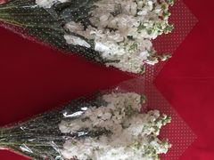 -新湖明珠城