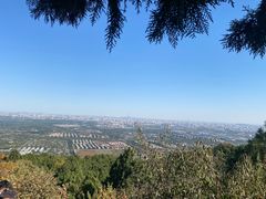 -北京西山国家森林公园