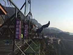 -梦幻奥陶纪景区