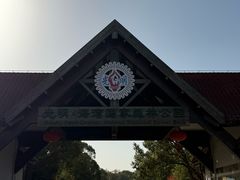 -上海海湾国家森林公园