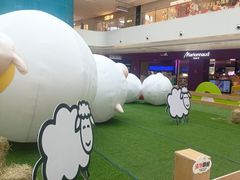 -阳光天地
