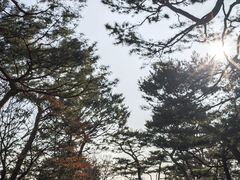 -上海辰山植物园