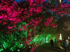 -苏州河梦清园环保主题公园