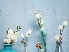 -中石化壳牌锡惠加油站