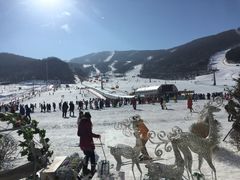 -中旅松花湖滑雪场