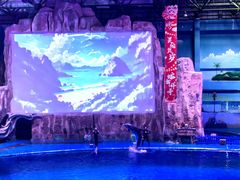 -华夏文旅海洋公园