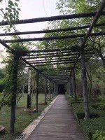 -大屏嶂森林公园