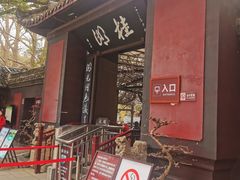 -桂湖森林公园