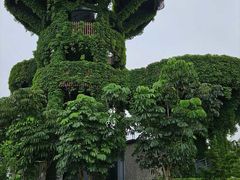 -芒洲湿地公园
