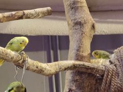 -正佳雨林生态植物园