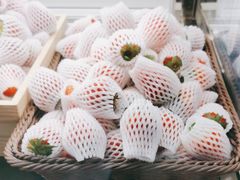 -茶百道(铜梁万达广场店)