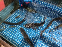 -嘉禾·悦享餐厅(八方汇店)