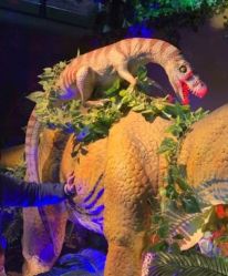 -恐龙探索乐园(磁器口店)