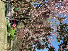 -元大都城垣遗址公园