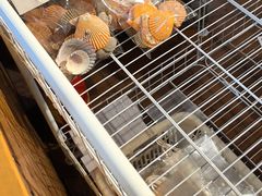 -蓝湾碧波·老字号·疍家非遗海上餐厅