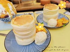 -王守财小山園