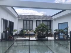 -稍可轩博物馆餐厅