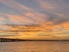 -宝安西湾红树林湿地公园