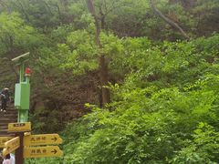 -老象峰
