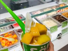 -Salud撒露欧洲冻酸奶(蓝色港湾店)
