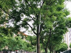 -中关村生命科学园