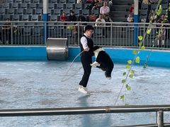 -泉州海丝野生动物世界