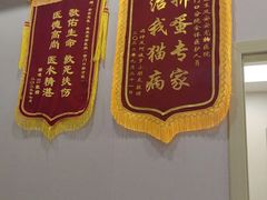 -安安宠医·臻爱宠物医院·宠保定点(营门口路分院)