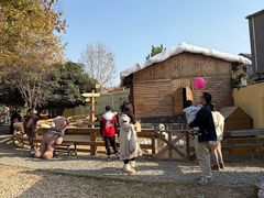 -HERRE·FARM 赫尔露营农场·团建聚会包场