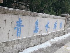 -青岛海底世界-水族馆