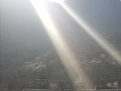 -碓臼峪自然风景区