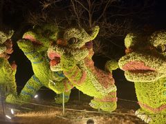 -洛阳市隋唐城遗址植物园