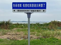 -七的湖·晚芳亭·阳澄湖农家菜·大闸蟹(莲花岛店)