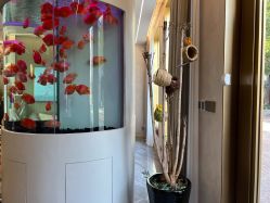 -新蝶变皮肤管理中心